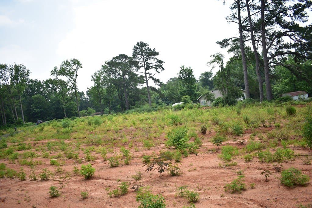 0.74 acres in Texas County gallery image 4