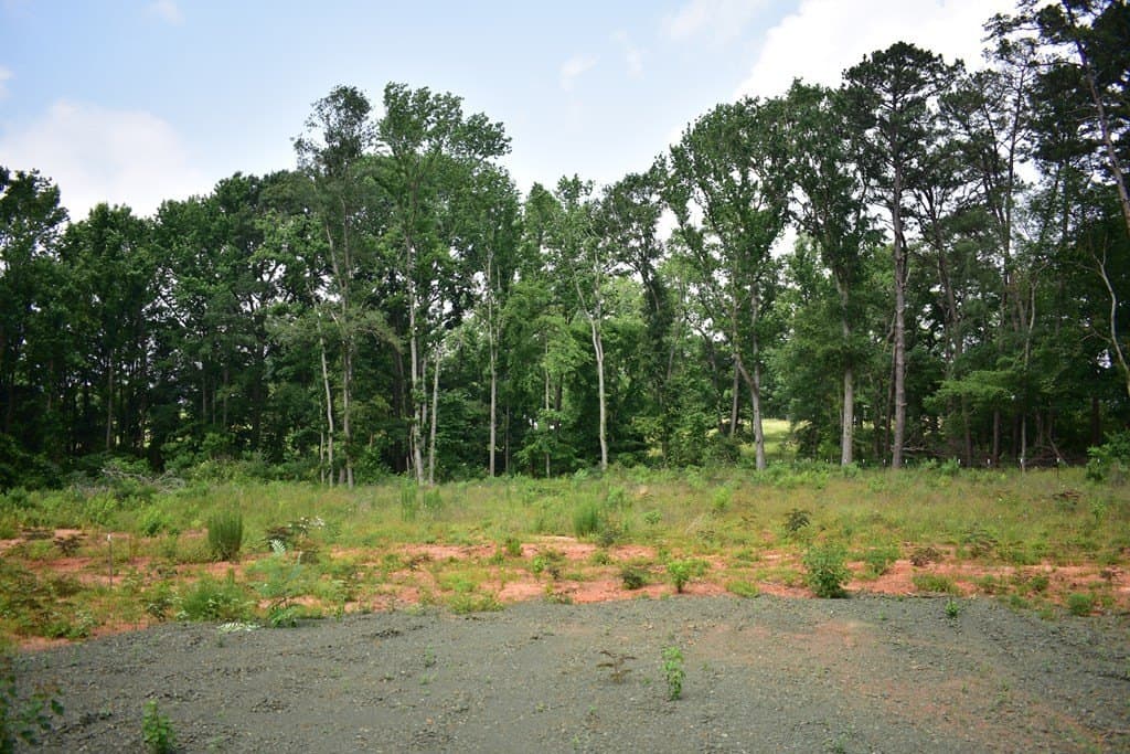 0.74 acres in Texas County featured view