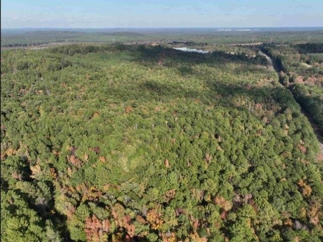 26.79 acres in Upshur County - photo 2