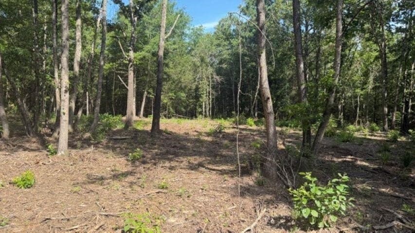 26.79 acres in Upshur County - photo 10