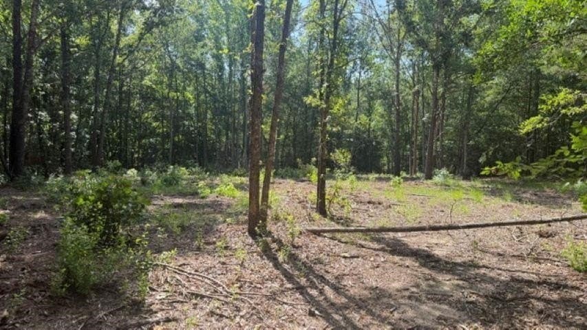 26.79 acres in Upshur County - photo 12