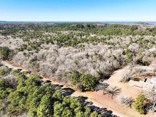 26.79 acres in Upshur County - photo 5