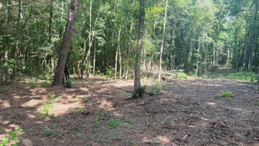 26.79 acres in Upshur County - photo 11