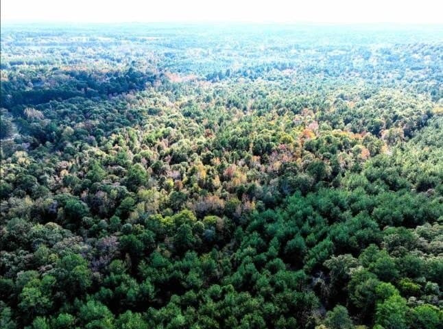 26.79 acres in Upshur County - photo 6