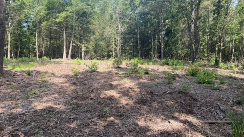 26.79 acres in Upshur County - photo 7