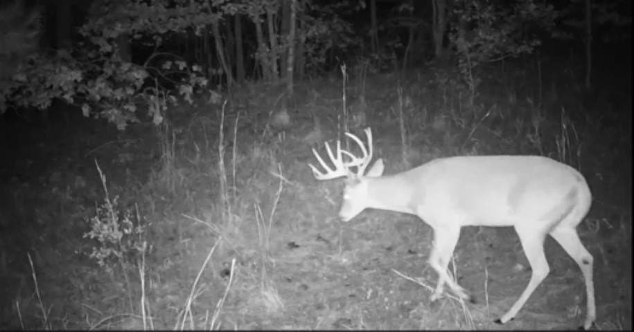 26.79 acres in Upshur County - photo 17