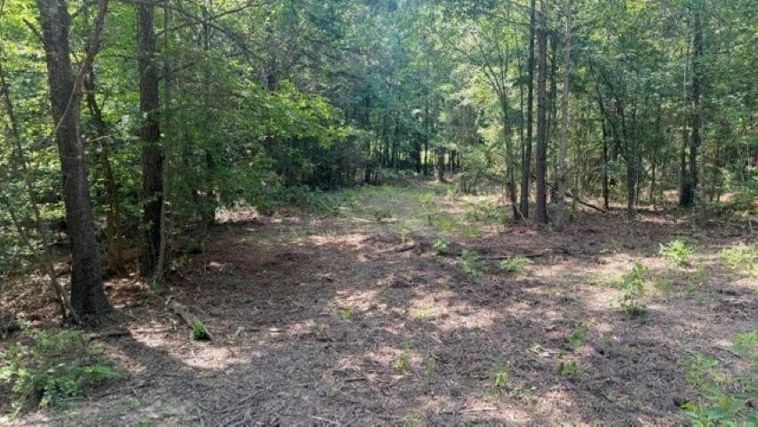 26.79 acres in Upshur County - photo 9