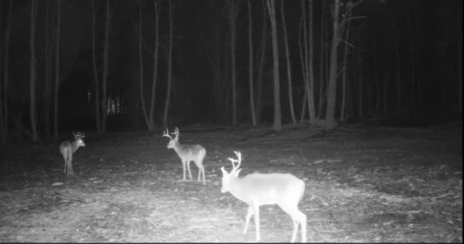 26.79 acres in Upshur County - photo 16
