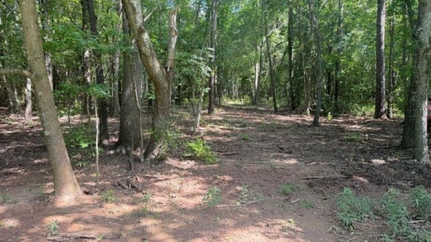 26.79 acres in Upshur County - photo 13