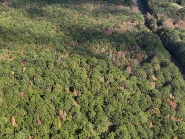 26.79 acres in Upshur County - photo 4