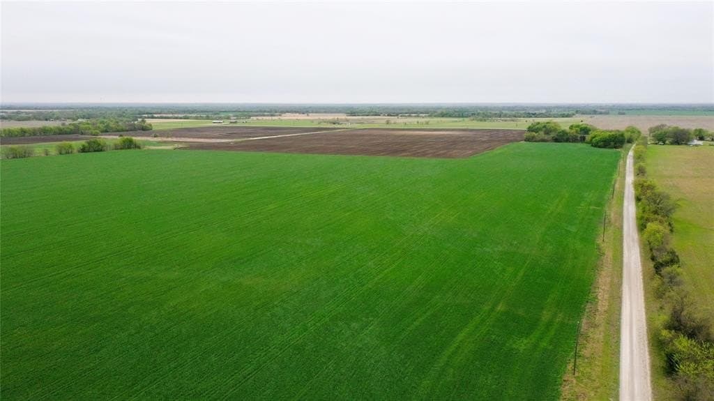 48 acres in Fannin County gallery image 3