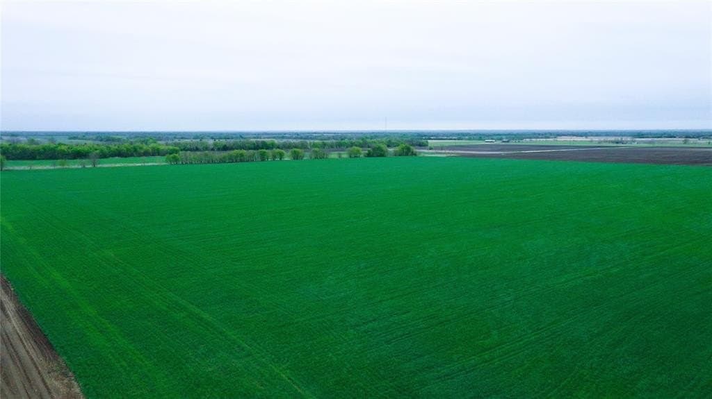 48 acres in Fannin County gallery image 2