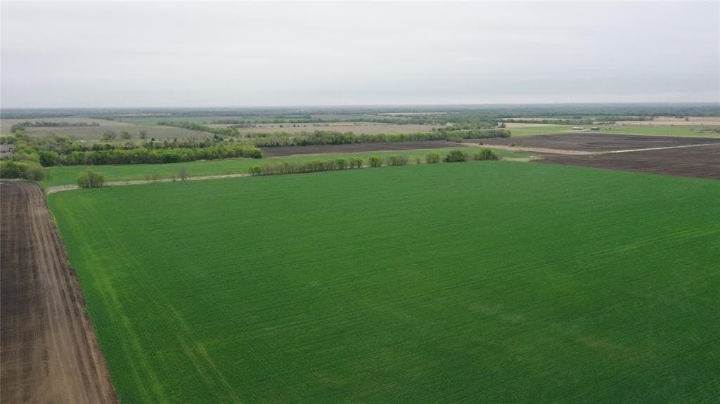 48 acres in Fannin County gallery image 4