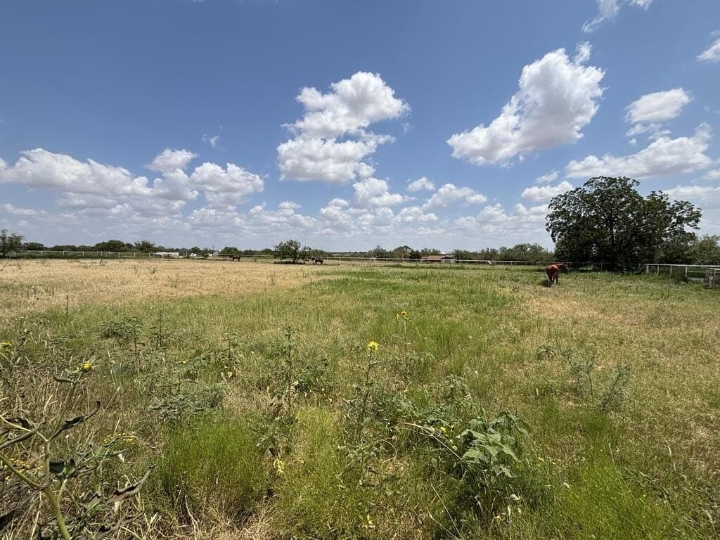 24.66 acres in Scurry County - photo 35