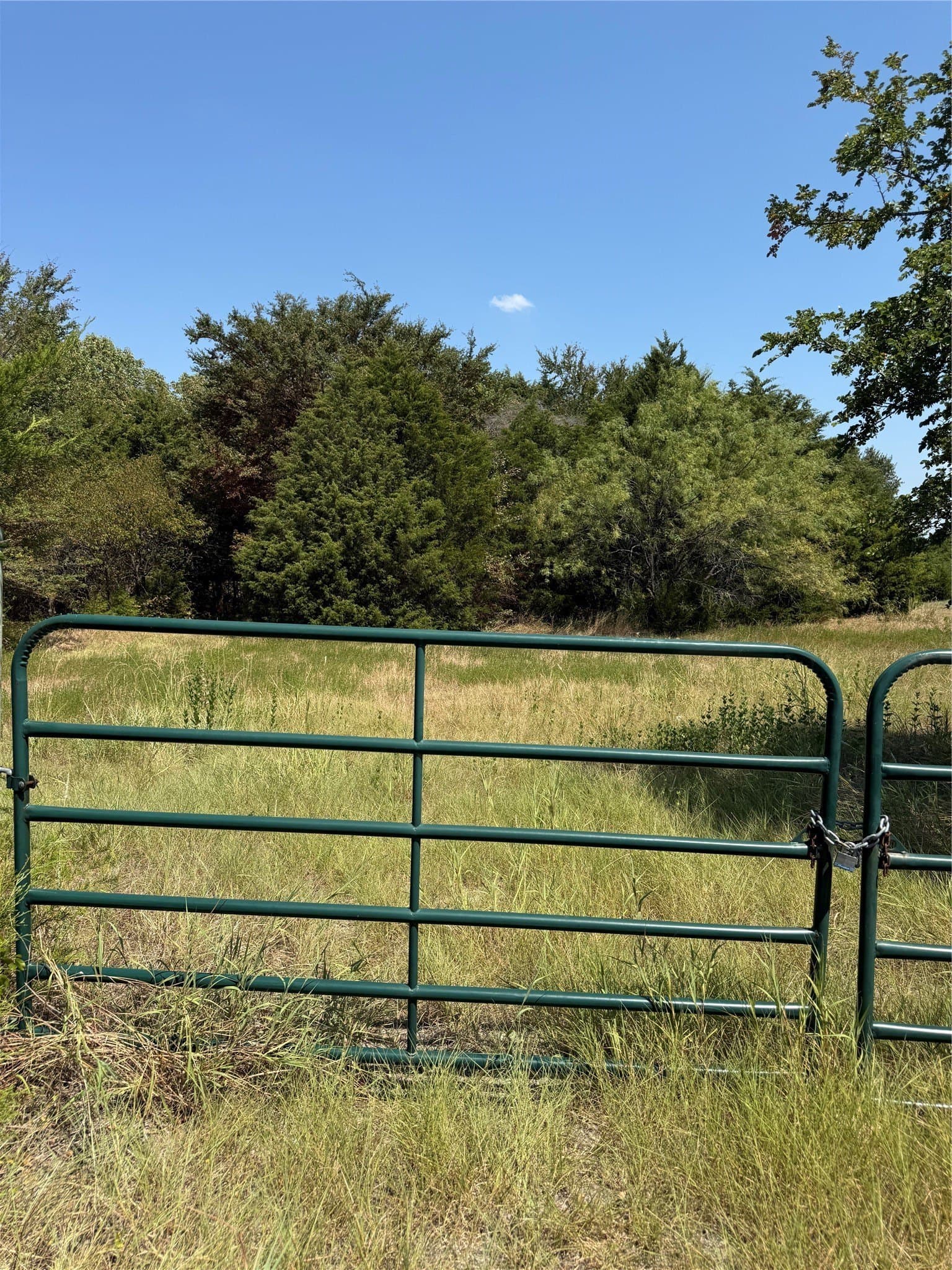 21.43 acres in Van Zandt County - photo 7