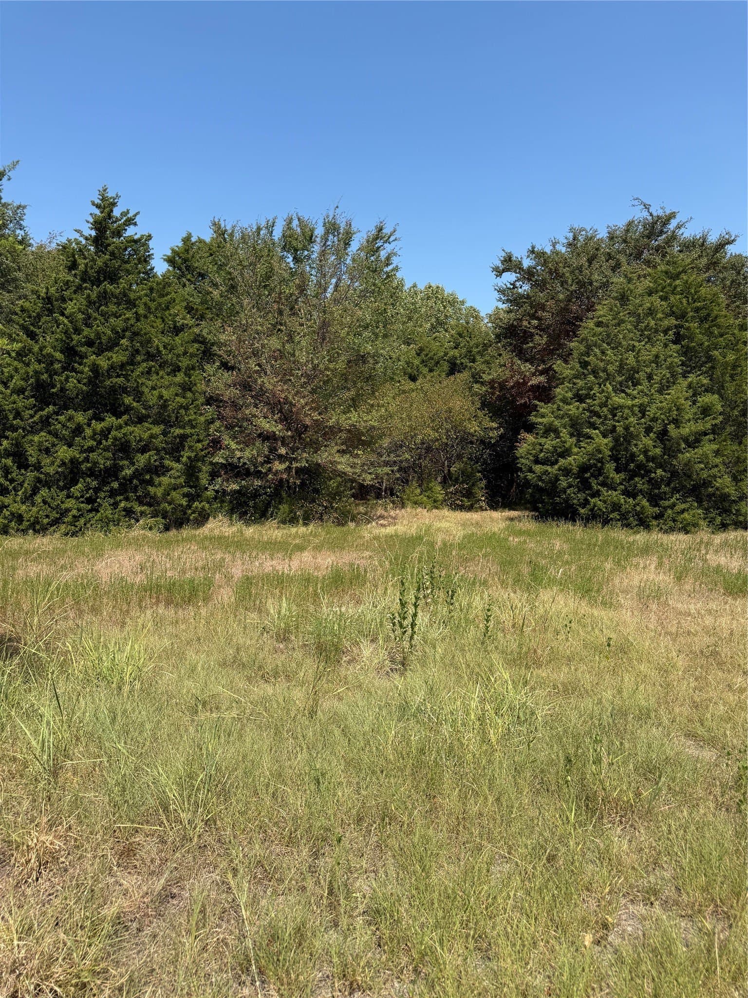 21.43 acres in Van Zandt County - photo 2