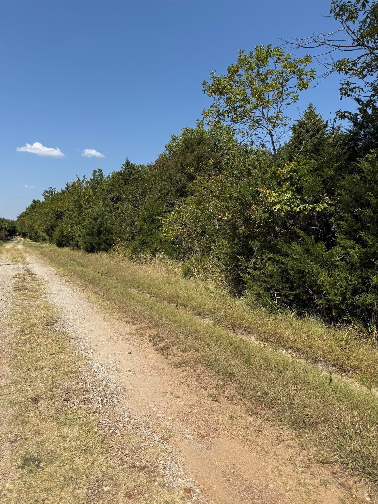 21.43 acres in Van Zandt County - photo 6