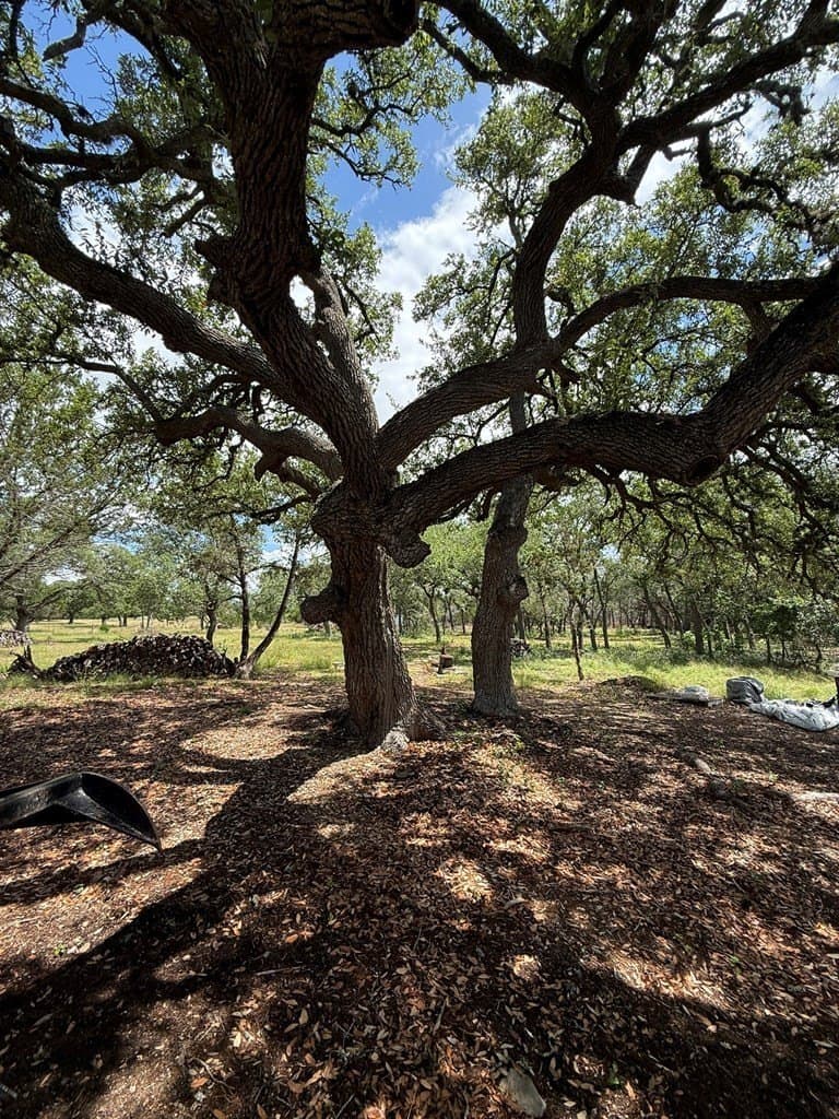 5.06 acres in Blanco County gallery image 3