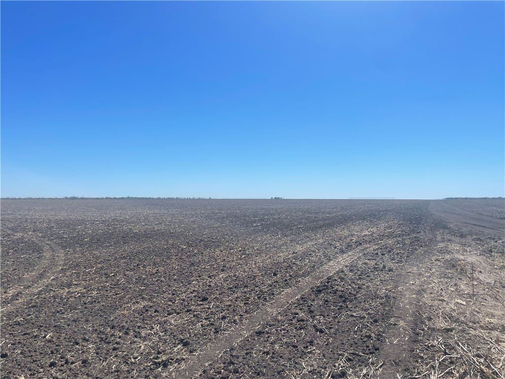 105.9 acres in Bee County - photo 2