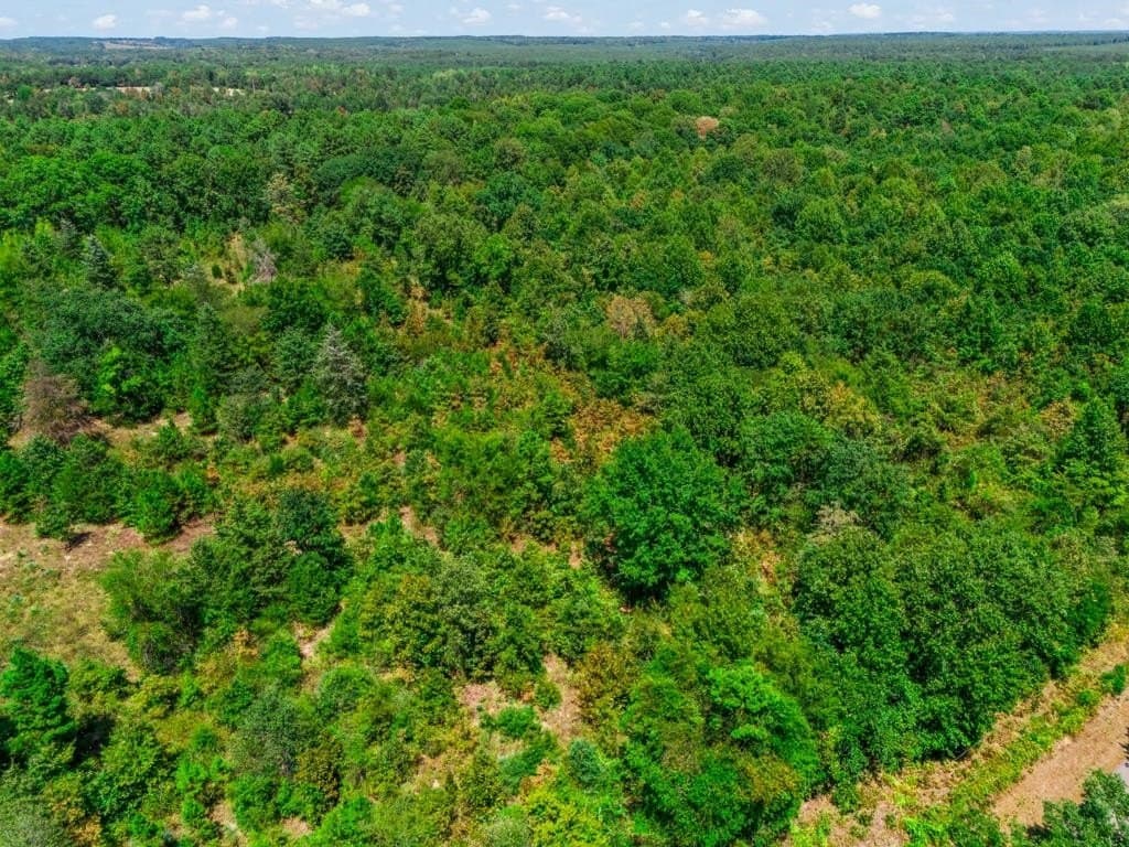 4.45 acres in Wood County - photo 15