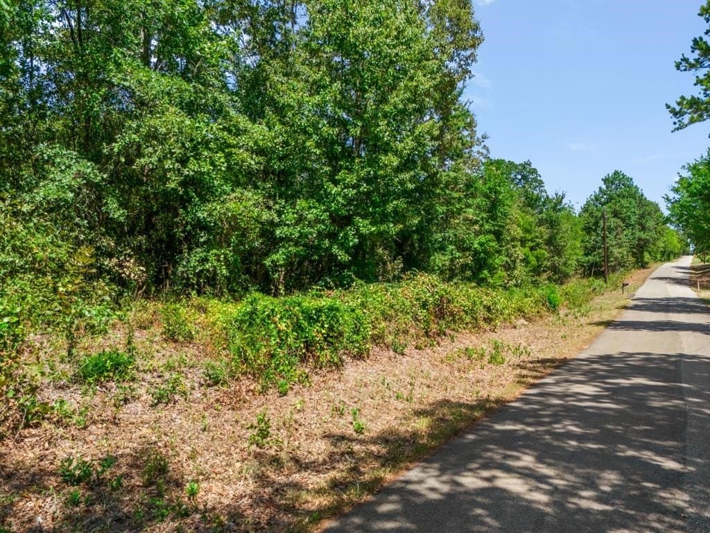 4.45 acres in Wood County - photo 17
