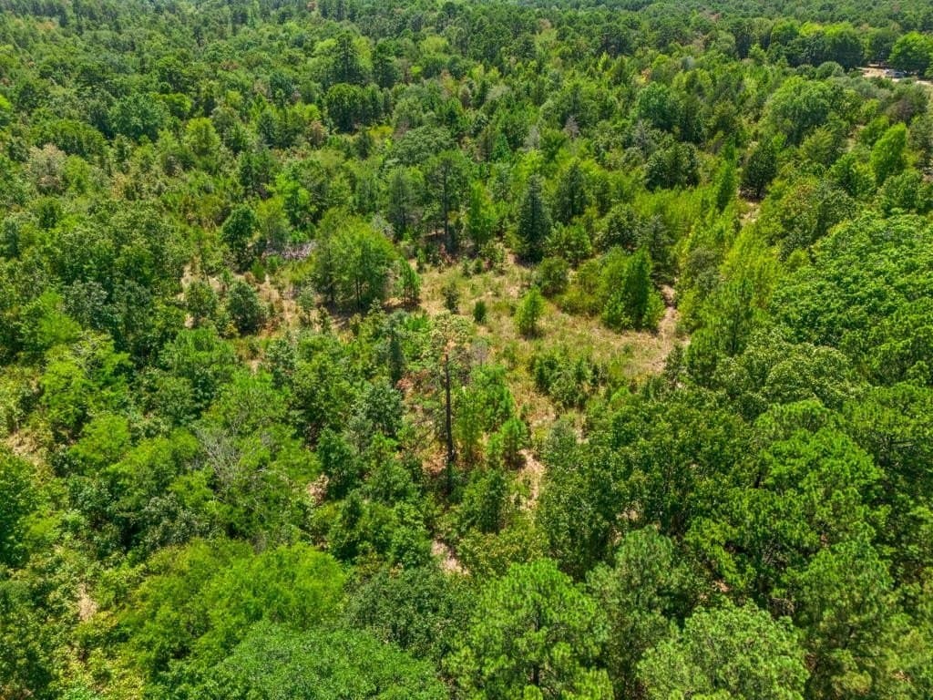 4.45 acres in Wood County - photo 11
