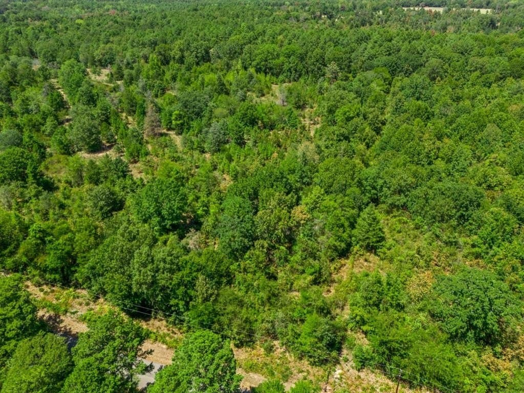 4.45 acres in Wood County - photo 10