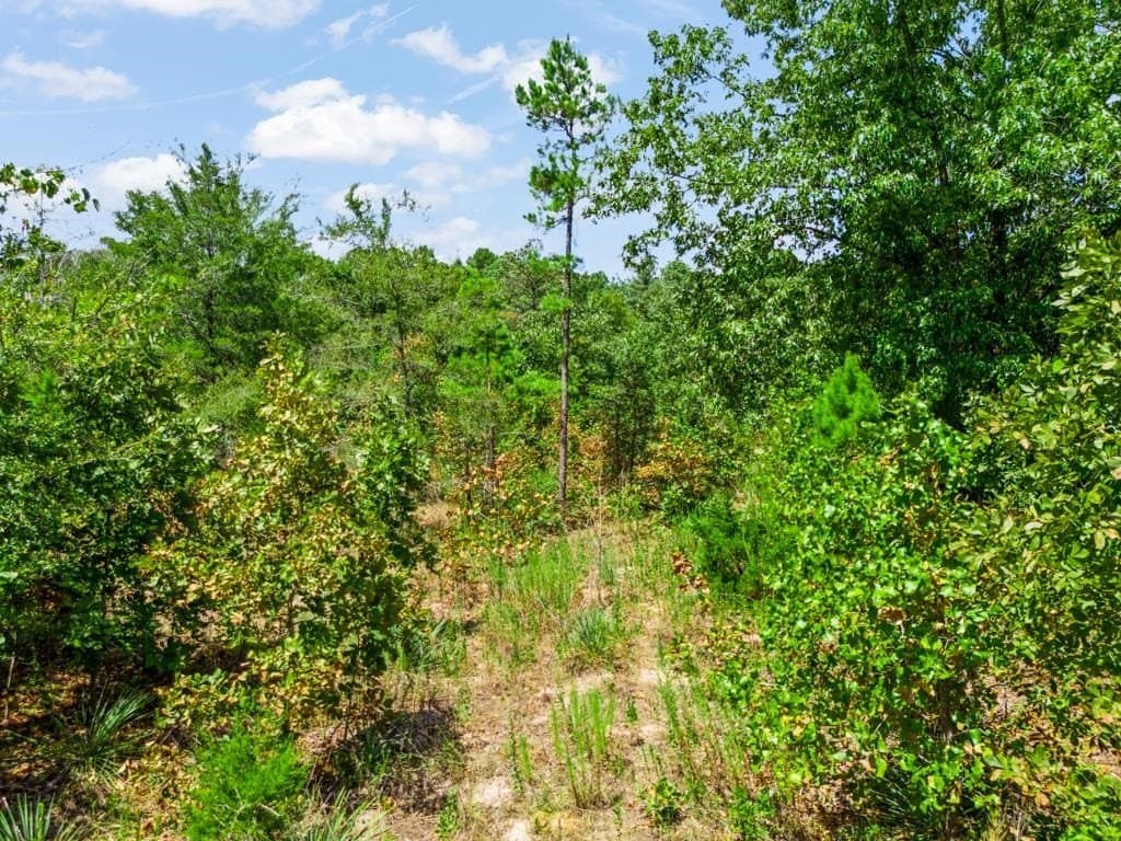 4.45 acres in Wood County - photo 6