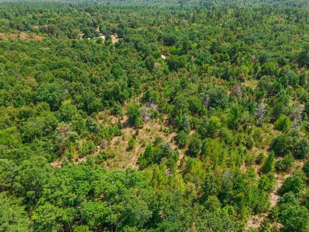 4.45 acres in Wood County - photo 14