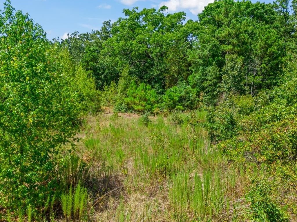 4.45 acres in Wood County - photo 16