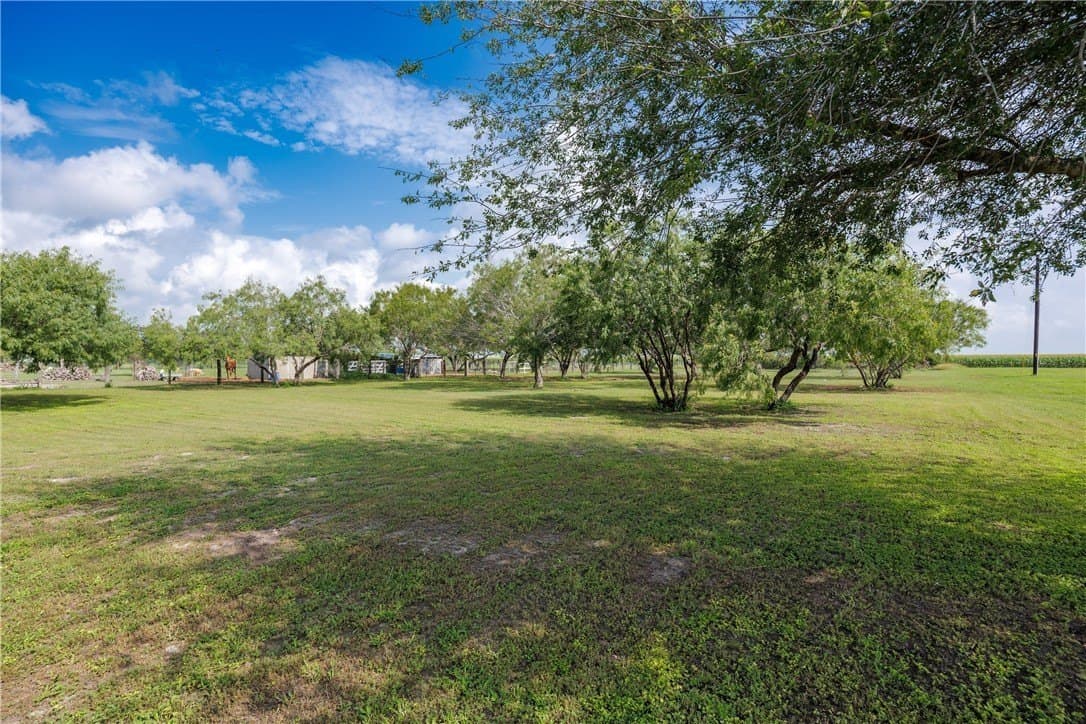 87,120 acres in Nueces County - photo 9