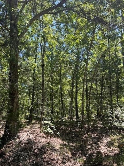 10.2 acres in Lamar County gallery image 2