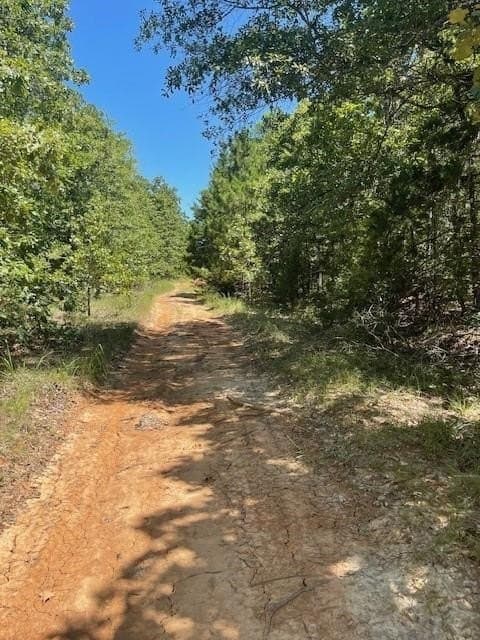 10.2 acres in Lamar County gallery image 3