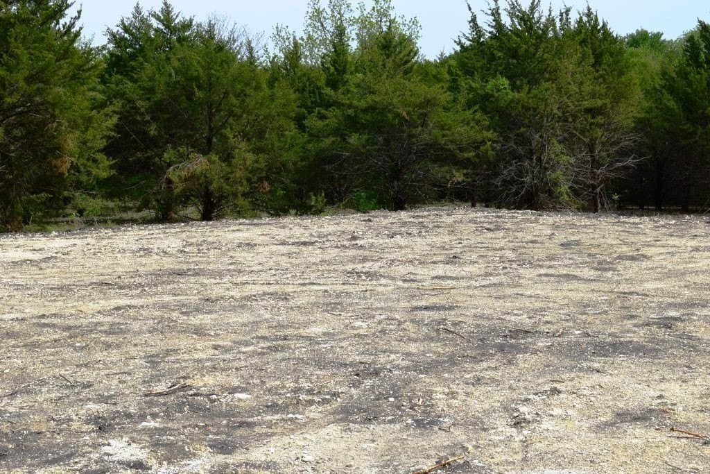 3.41 acres in Fannin County - photo 19