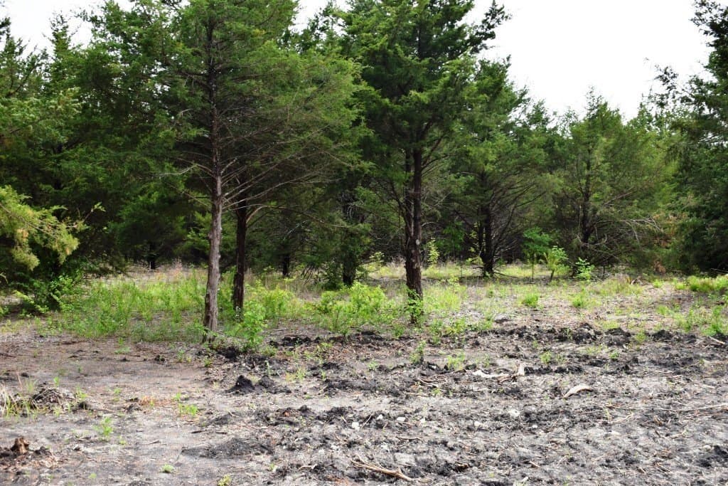 3.41 acres in Fannin County - photo 4