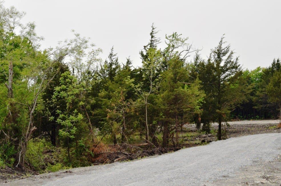 3.41 acres in Fannin County - photo 3