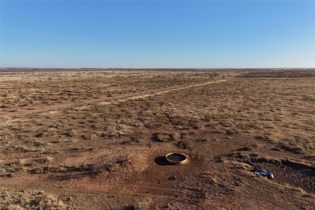 1,099.7 acres in Cottle County gallery image 4