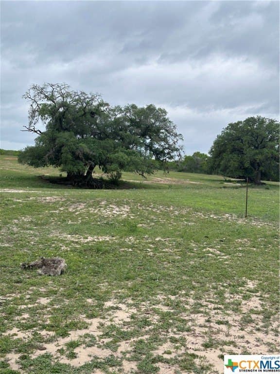 13.96 acres in Atascosa County gallery image 3