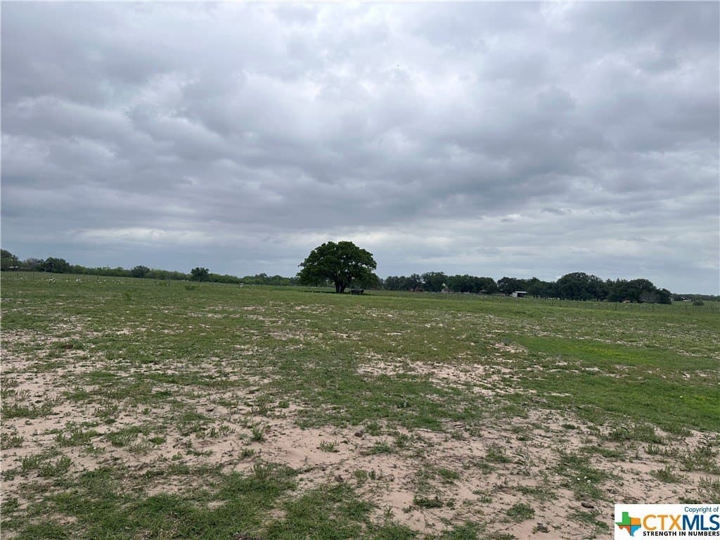 13.96 acres in Atascosa County gallery image 4
