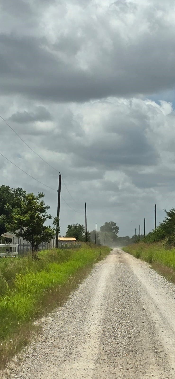 5.16 acres in Fannin County - photo 6