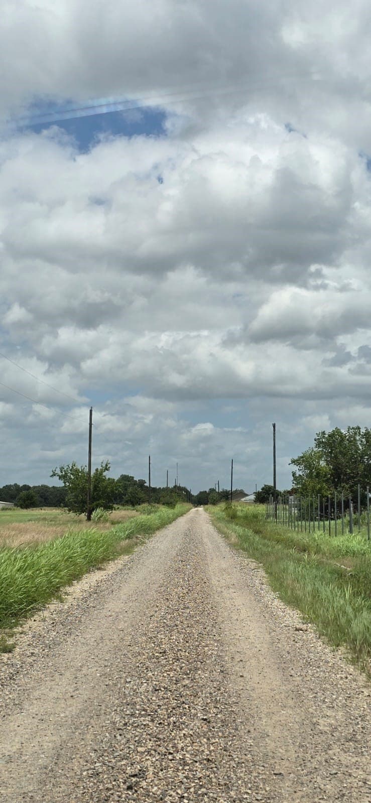 5.16 acres in Fannin County - photo 4