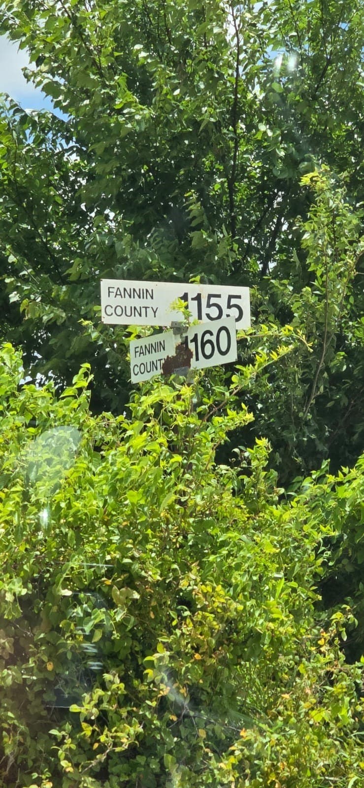 5.16 acres in Fannin County - photo 3