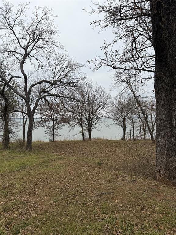1.02 acres in Navarro County gallery image 3