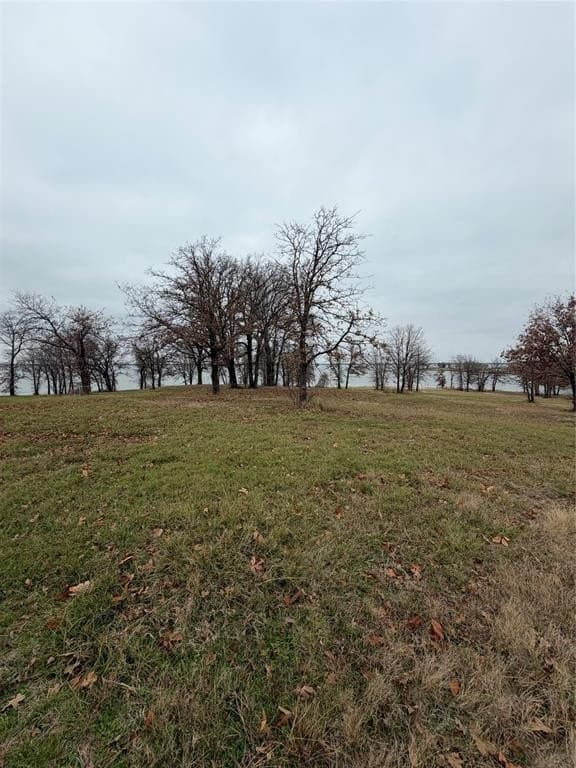 1.02 acres in Navarro County gallery image 2