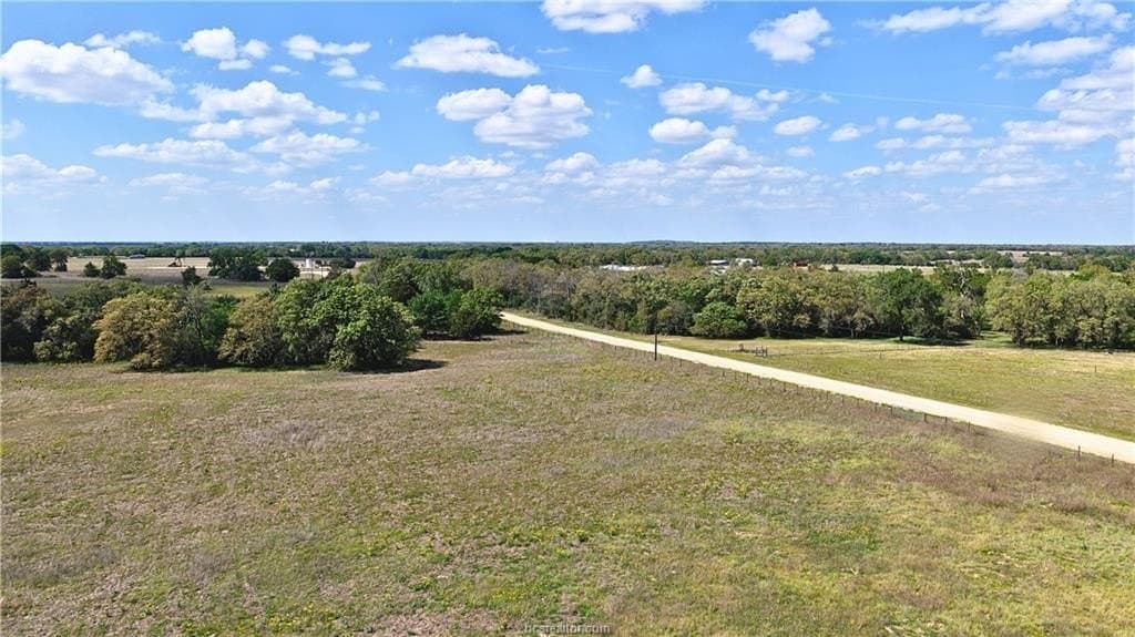 104.1 acres in Burleson County gallery image 4
