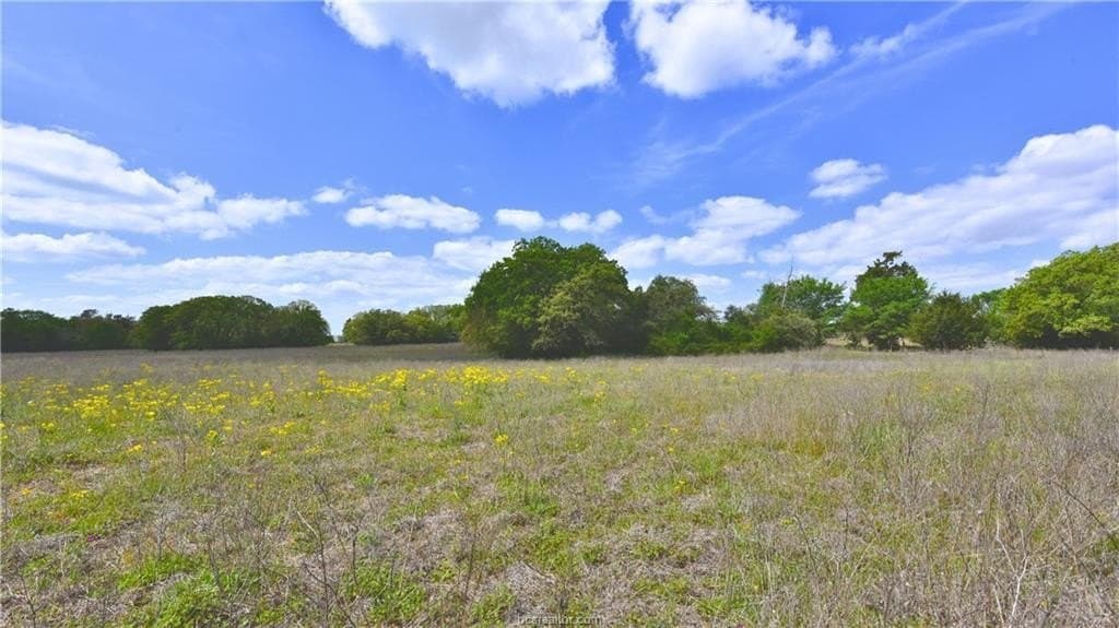 104.1 acres in Burleson County - photo 7