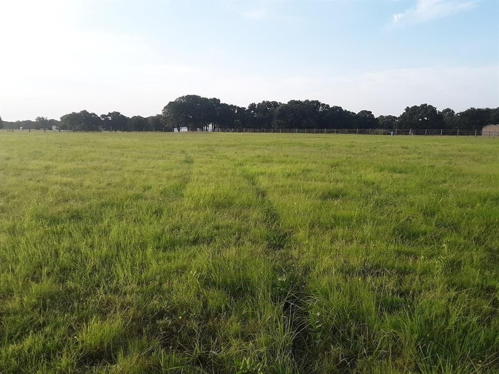 9.95 acres in Grayson County gallery image 3