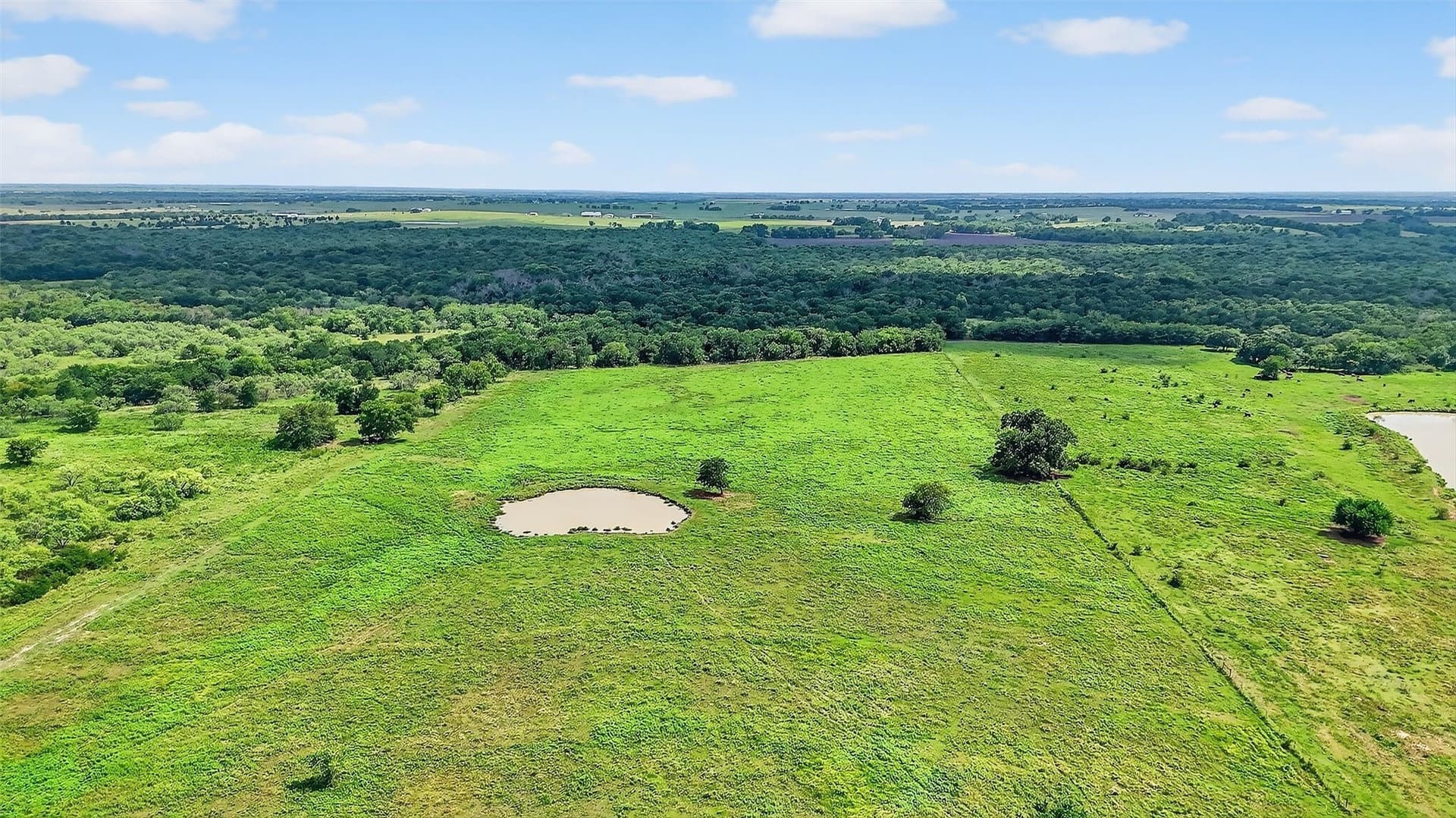 74.09 acres in Grayson County - photo 16