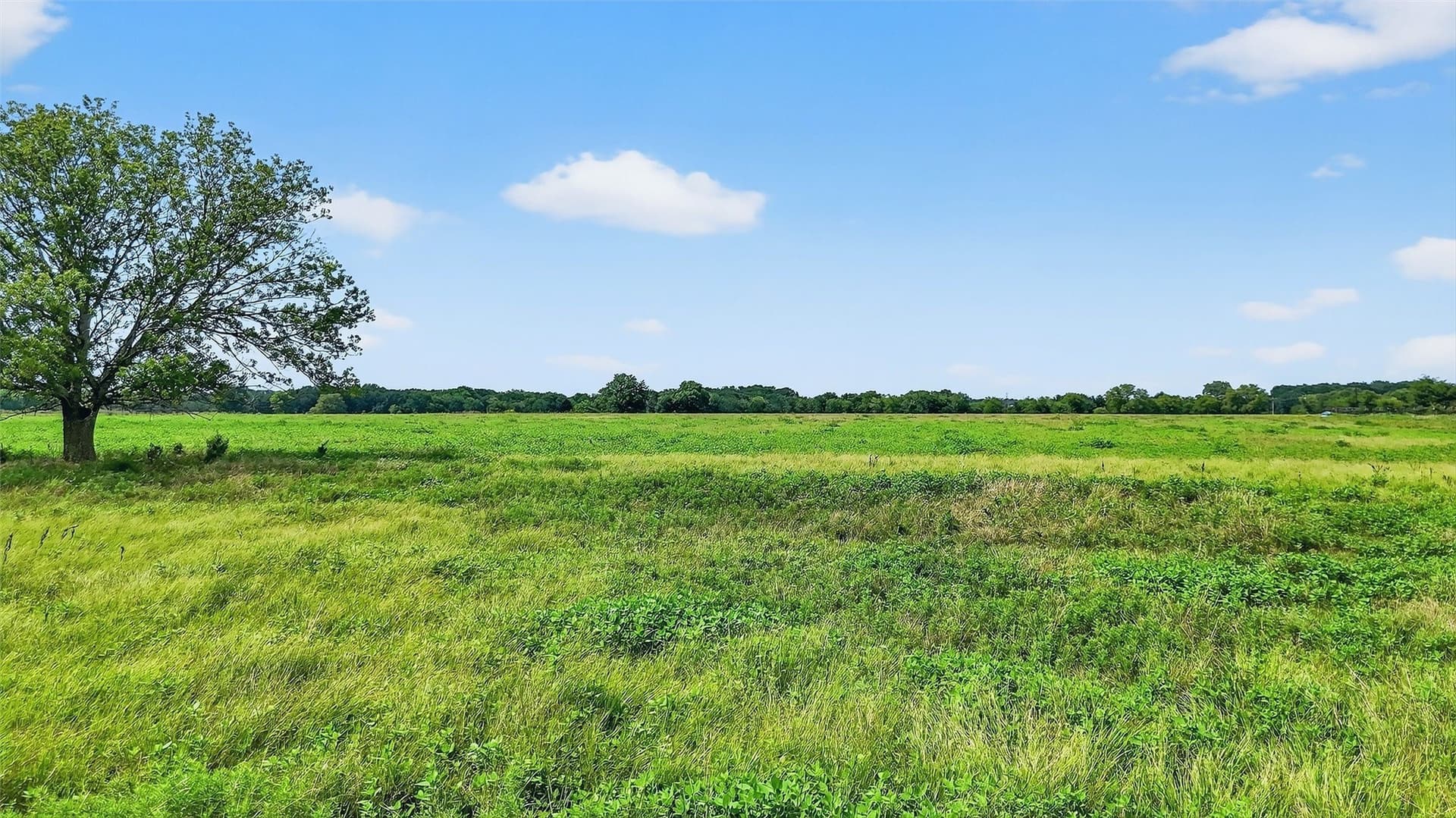74.09 acres in Grayson County - photo 27