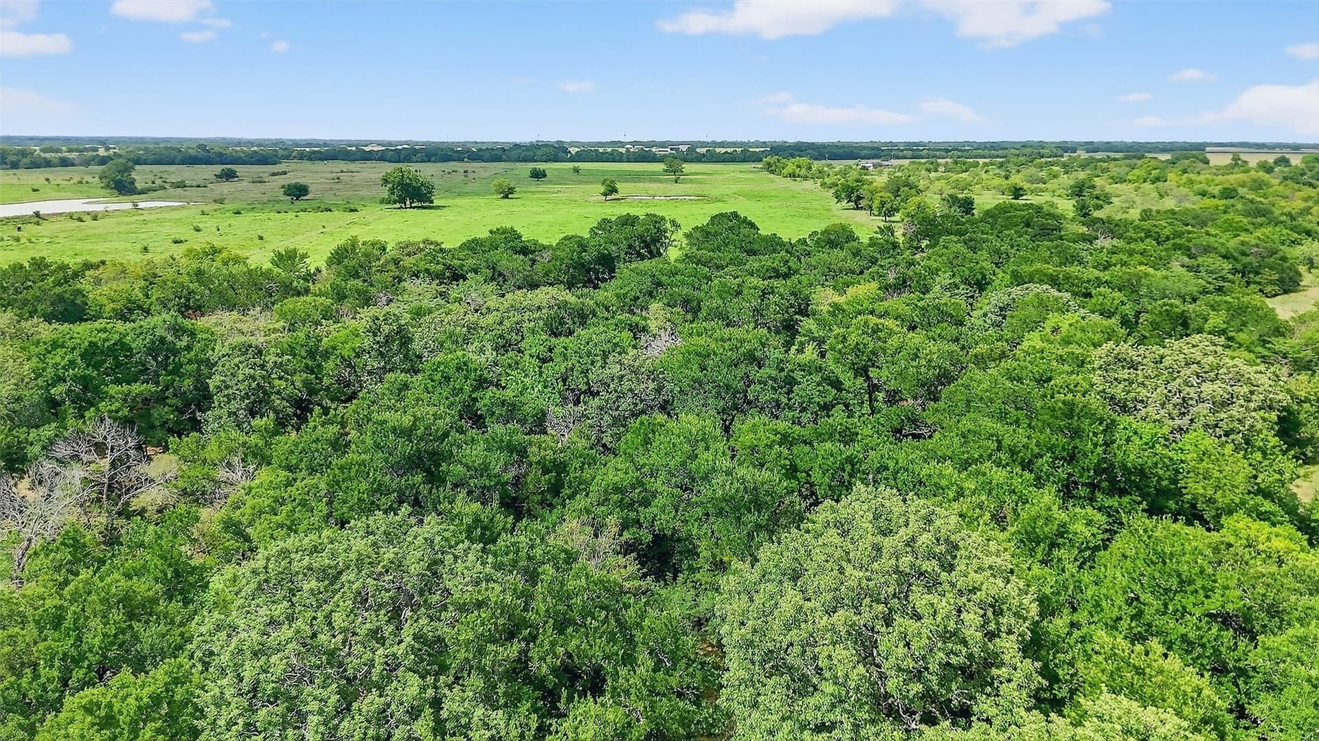 74.09 acres in Grayson County - photo 21
